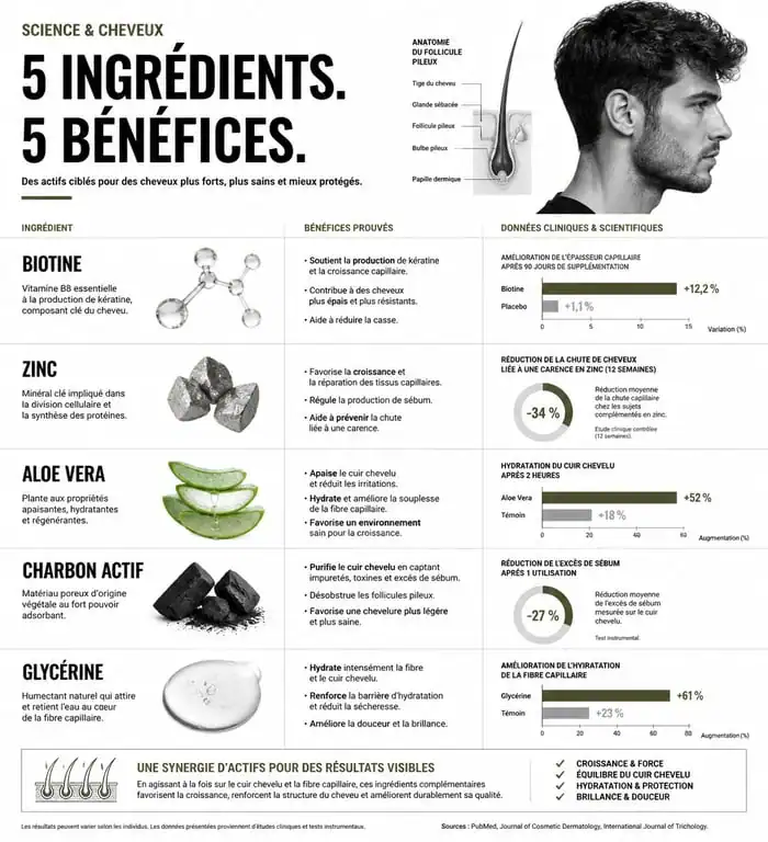 Infographie des bienfaits des ingrédients pour shampoing homme : biotine, zinc, aloe vera