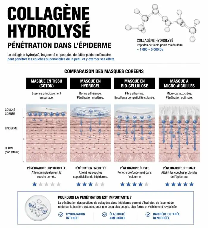 Infographie expliquant l'efficacité du masque raffermissant au collagène coréen et la pénétration cutanée