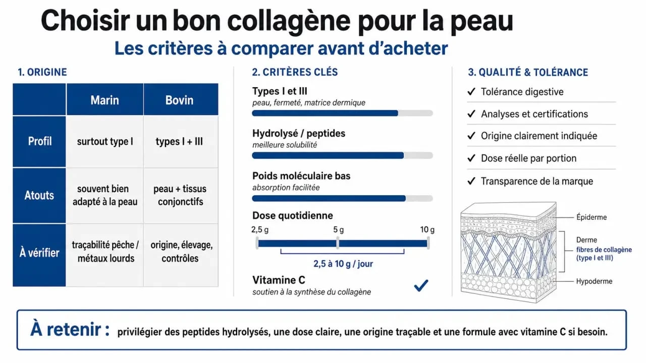 Infographie sur le bon collagène pour la peau avec comparaison des critères de choix